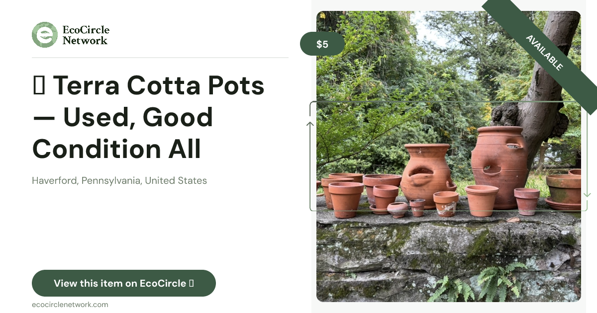 🌿 Terra Cotta Pots — Used, Good Condition All Shapes & Sizes