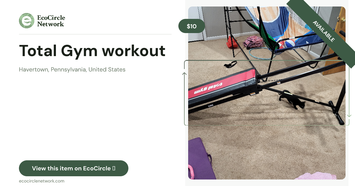 Total Gym workout