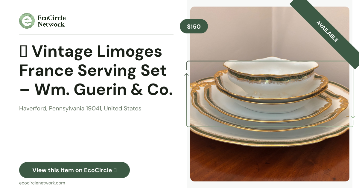 ✨ Vintage Limoges France Serving Set – Wm. Guerin & Co. (6 Pieces)
